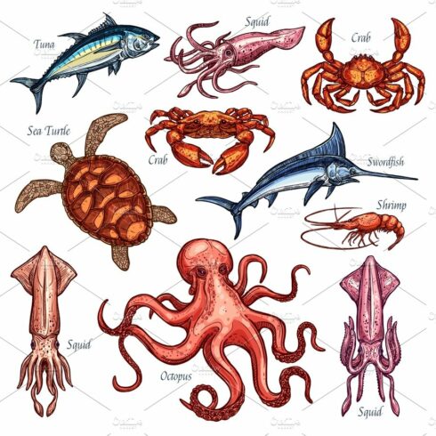 Vector icons of seafood or fish food fishing catch cover image.