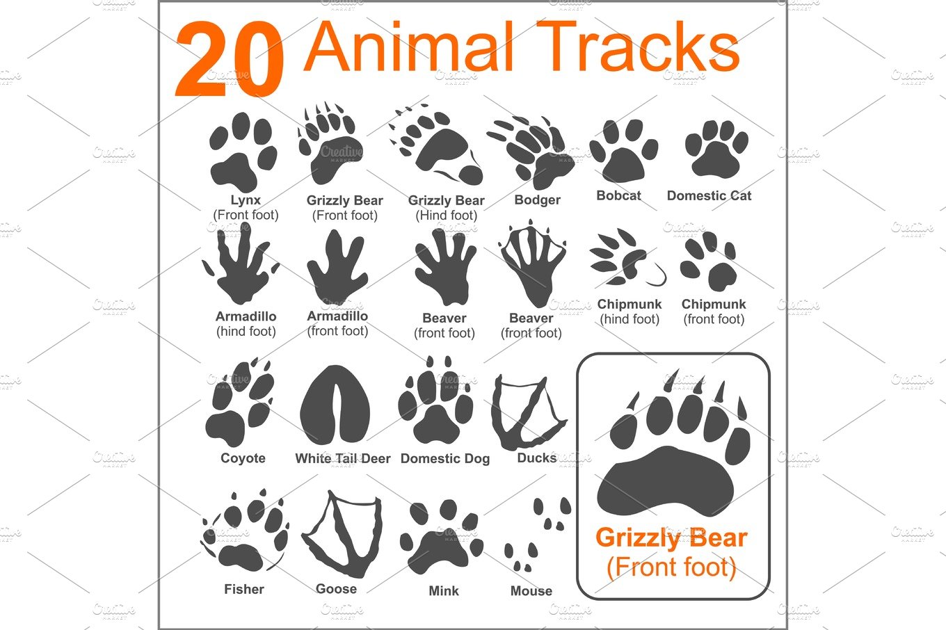 Animal Tracks Print Animal Tracks of the Woodland Printable Animal