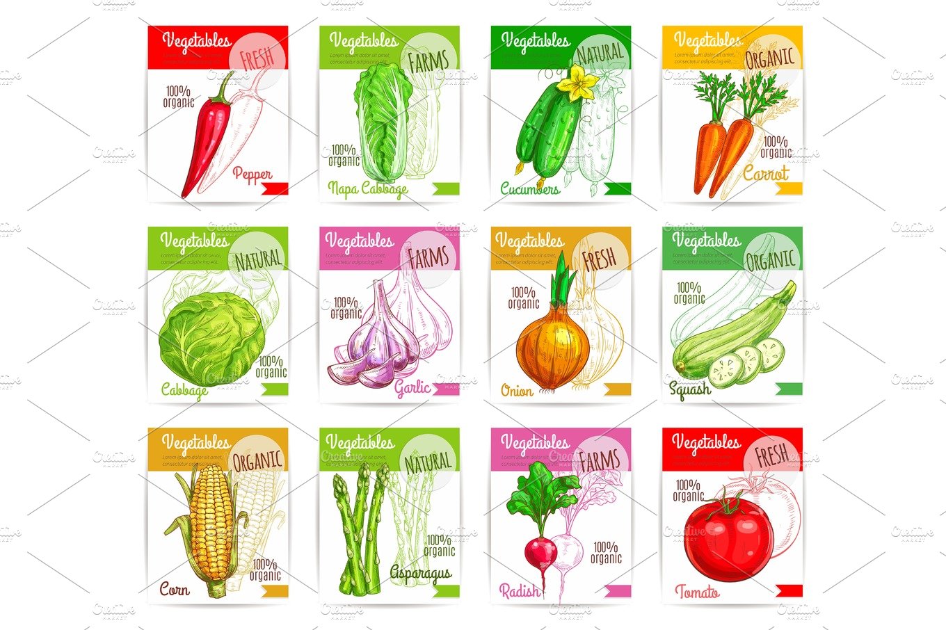 Vegetables vector square price tags set cover image.