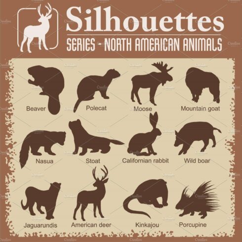 Silhouettes - North American animals cover image.