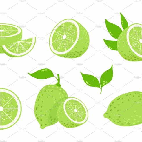 Lime fruits. Citrus slices, isolated cover image.