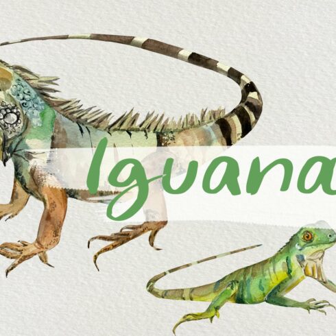 Watercolor Iguanas Clip Art cover image.