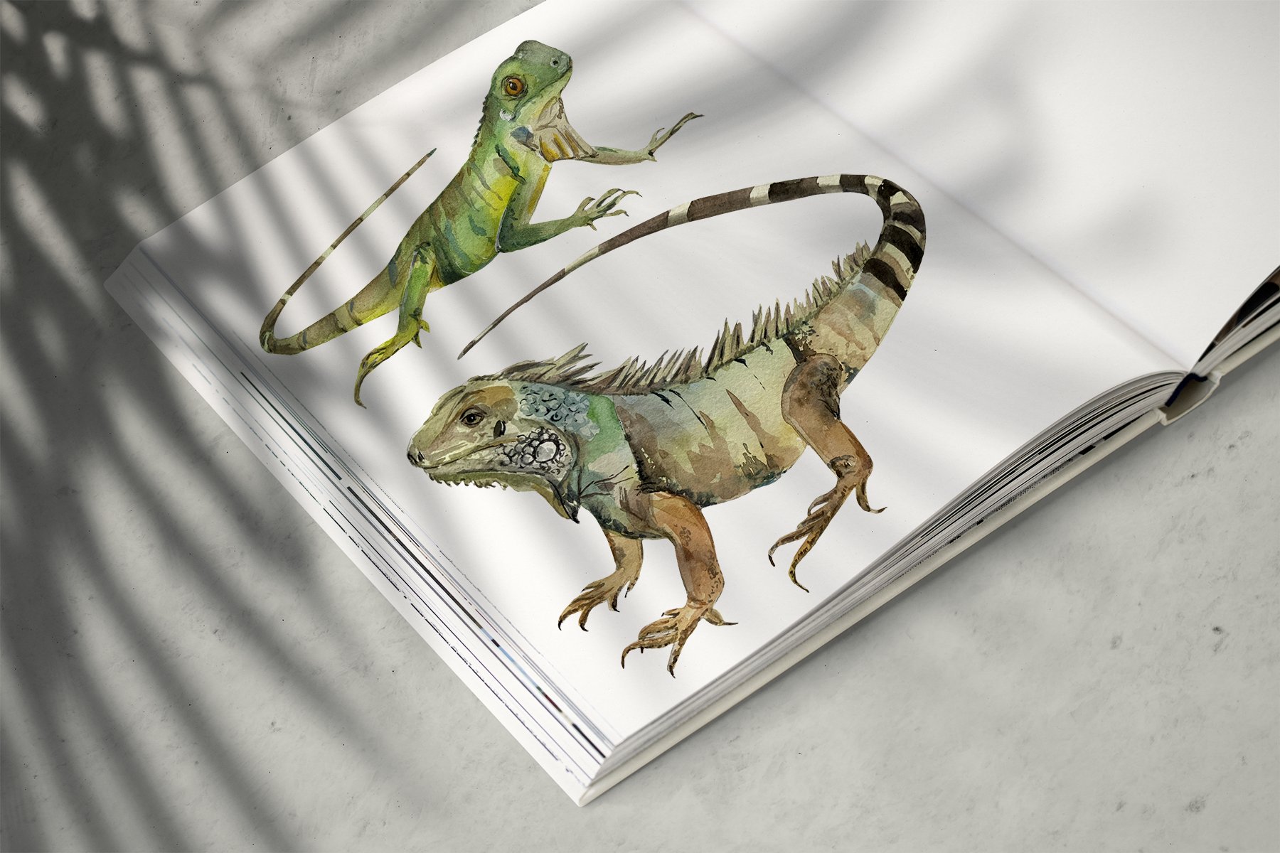 Watercolor Iguanas Clip Art preview image.