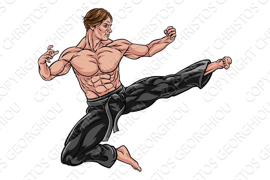 Kung Fu or Karate Flying Kick cover image.