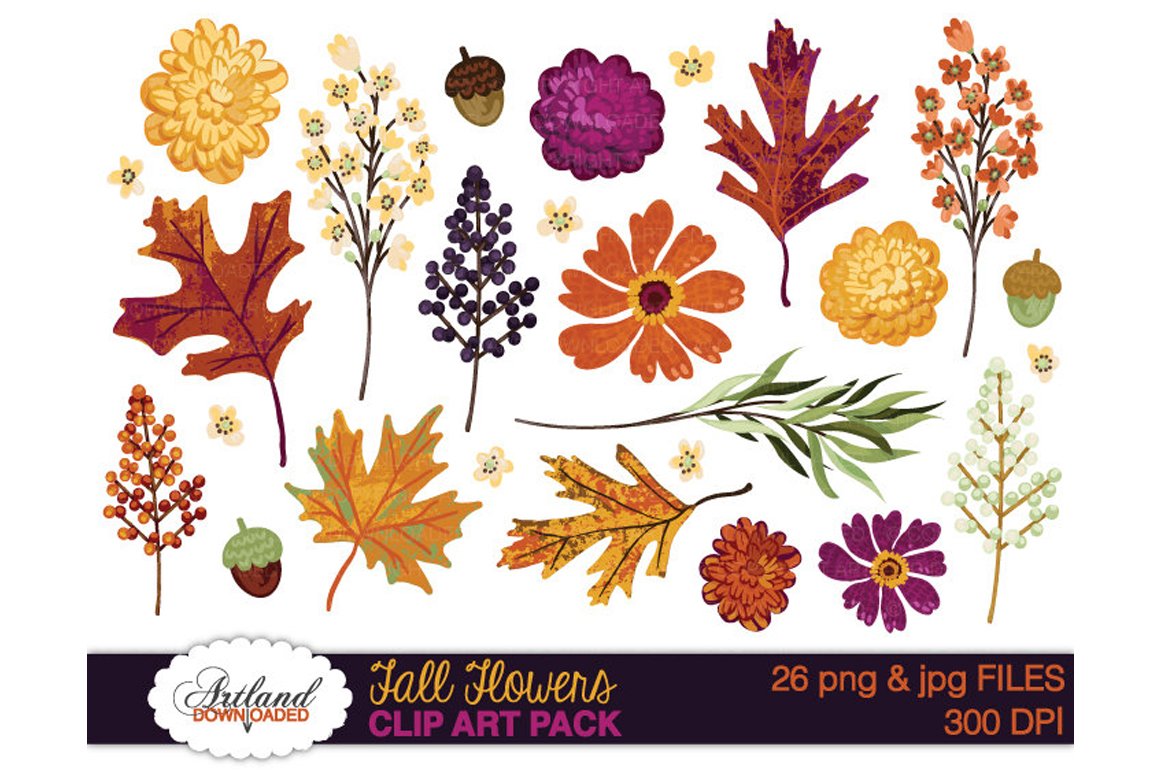 Fall Flowers Clipart Pack cover image.