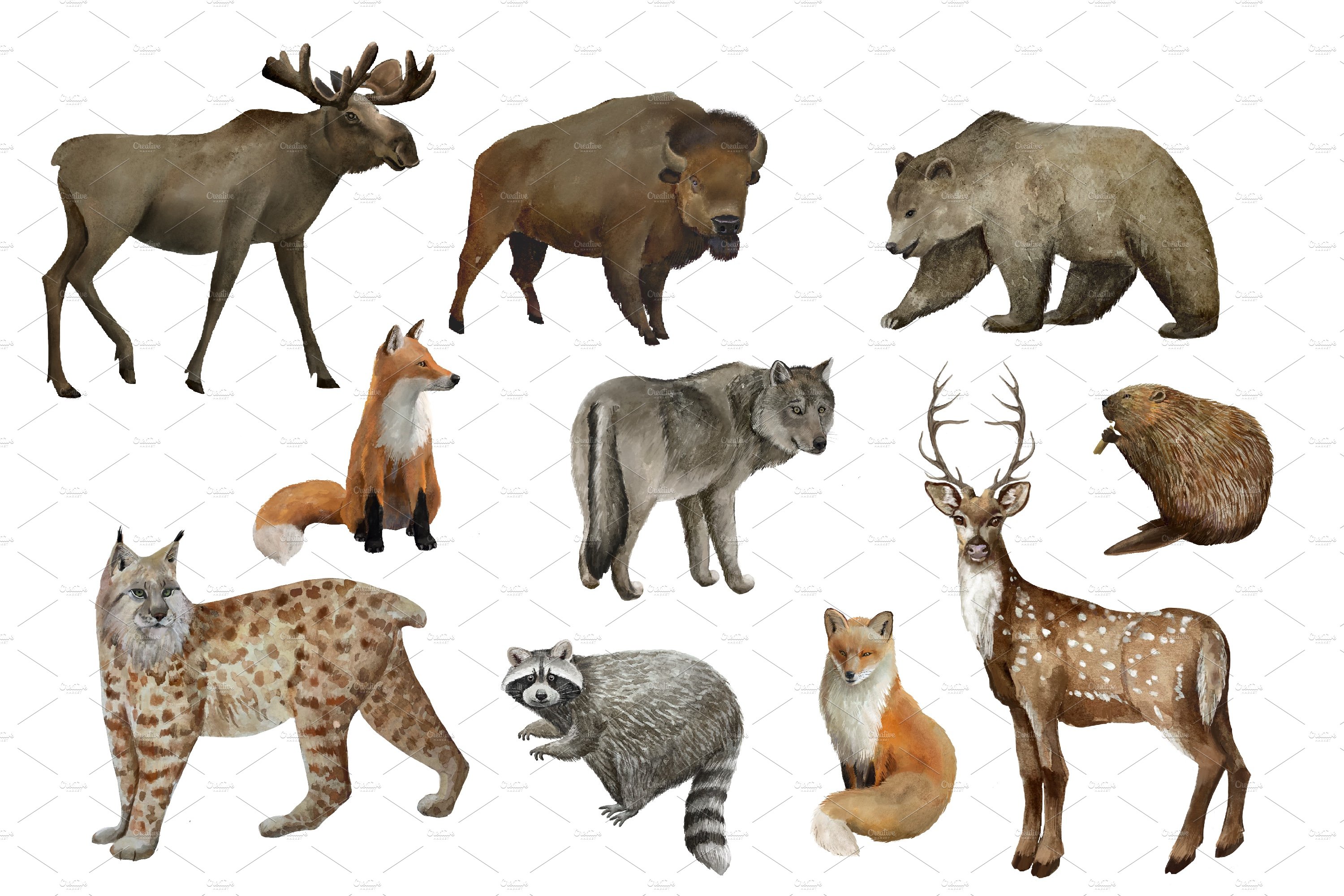 Woodland  animals, winter forest preview image.