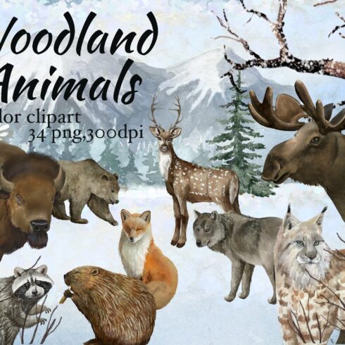 Woodland  animals, winter forest cover image.