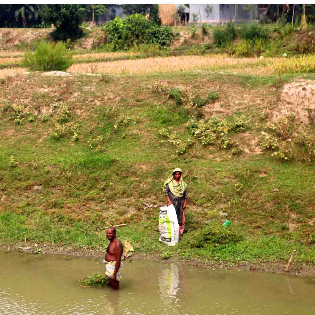 village clients people & roads stock photos in Bangladesh Natural cover image.