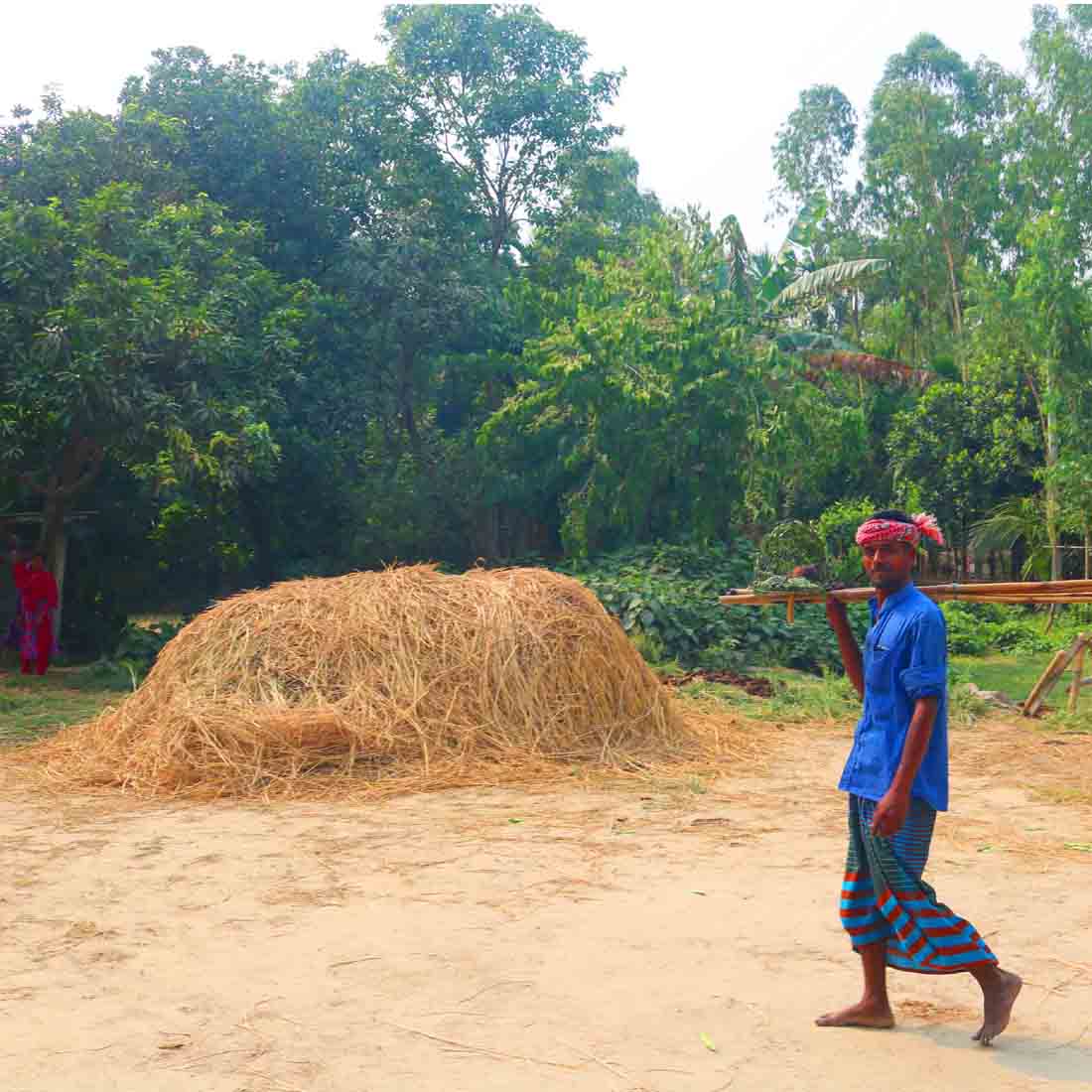 village clients people & roads stock photos in Bangladesh Natural preview image.