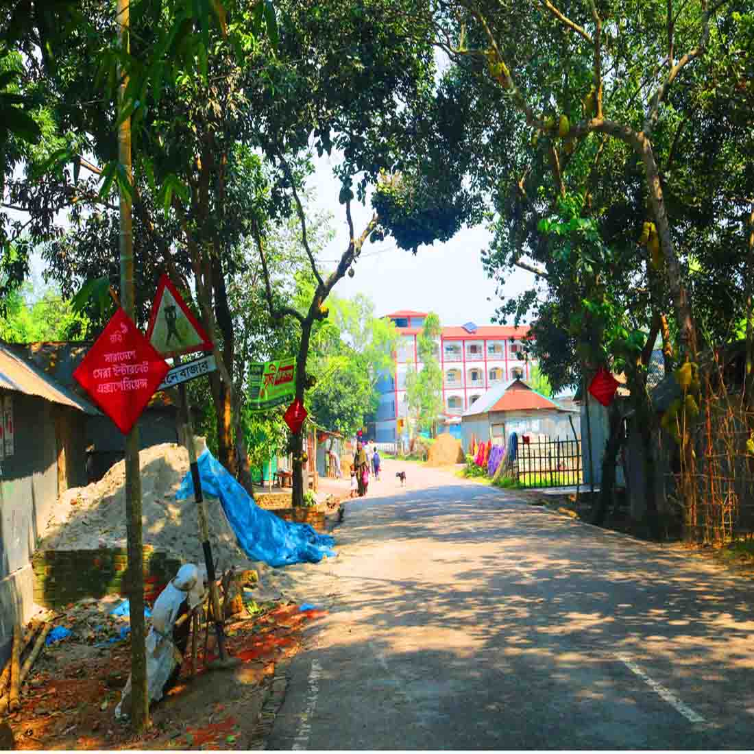 Natural Tree Background Photography in Bangladesh cover image.