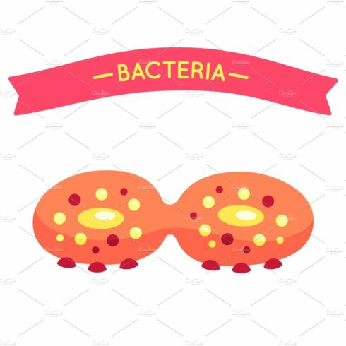 Bacteria Poster and Virus Vector cover image.