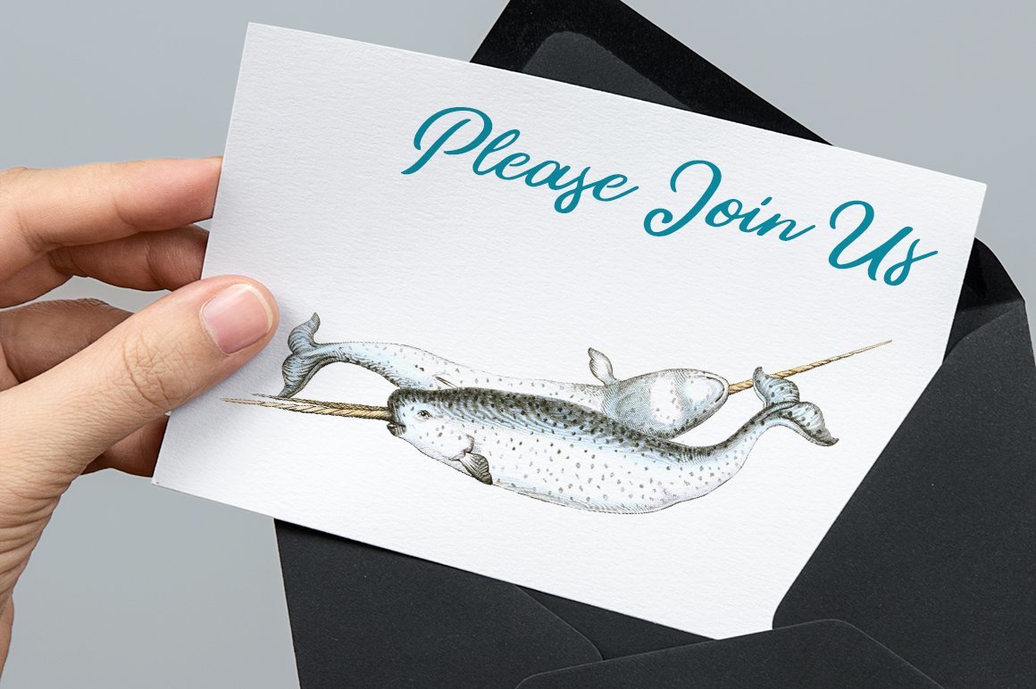Narwhal Clipart Vintage preview image.