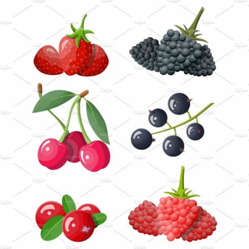Berry icon set. cover image.