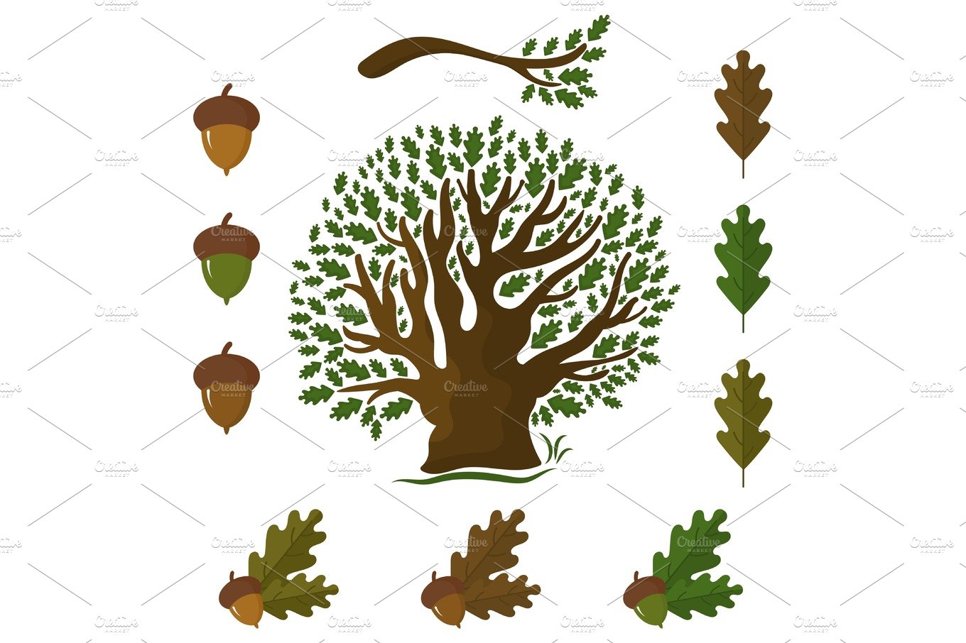 Set of icons on an oak tree with leaves and acorns.Vector illust cover image.