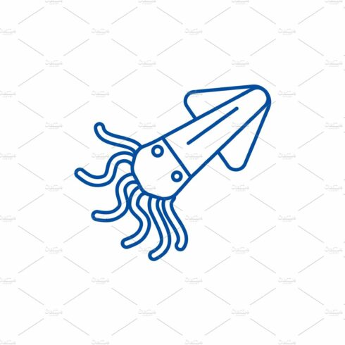 Squid,calamary line icon concept cover image.