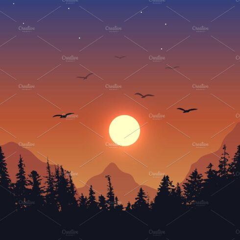 View to forest on sunset background cover image.