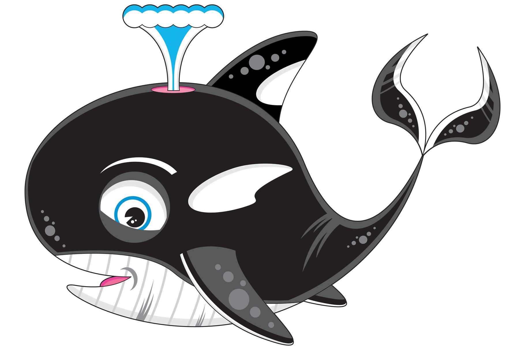 Cartoon Orca Whale cover image.