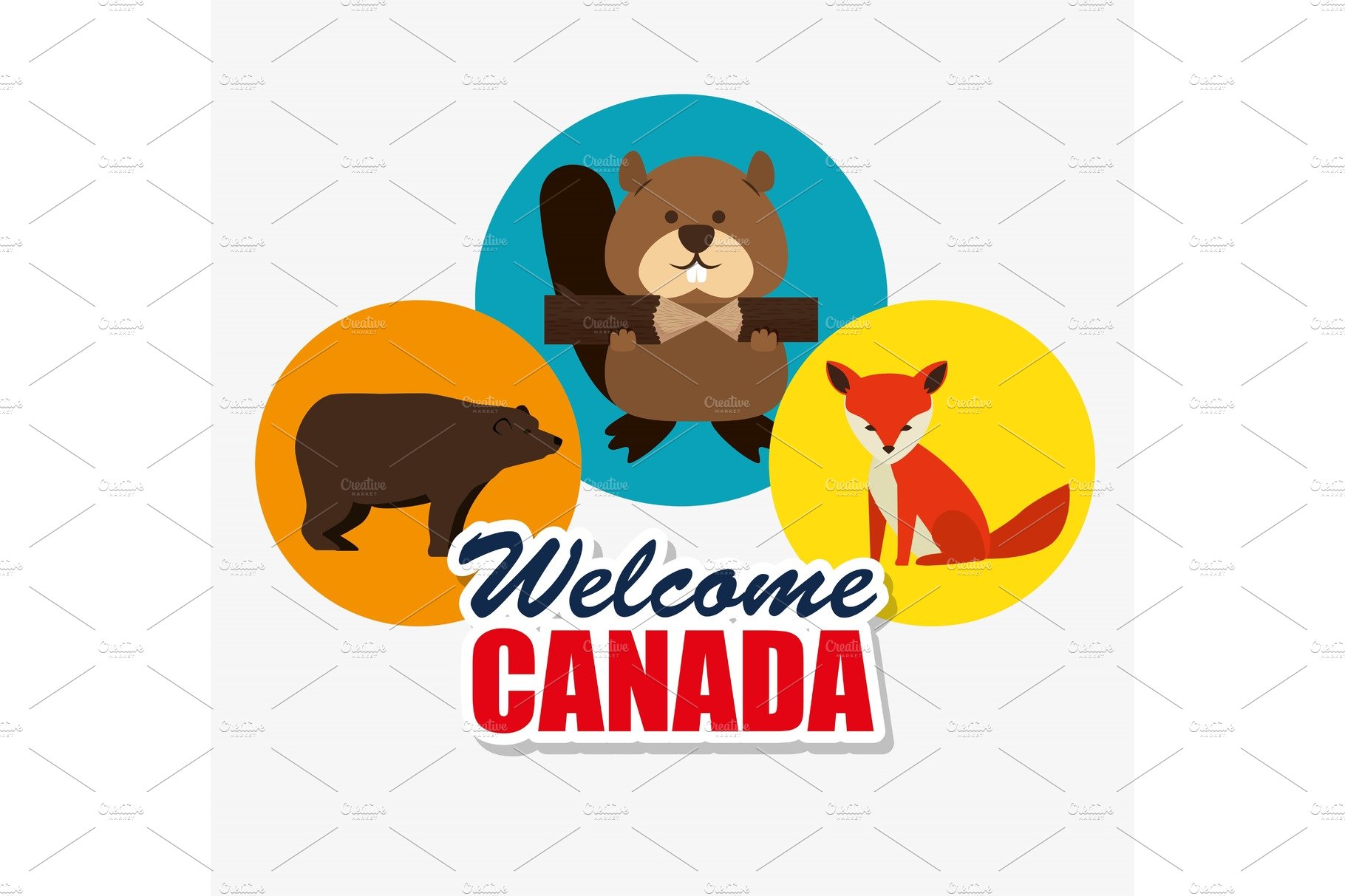 canadian culture group of animals cover image.