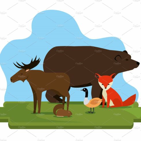 canadian culture group of animals cover image.