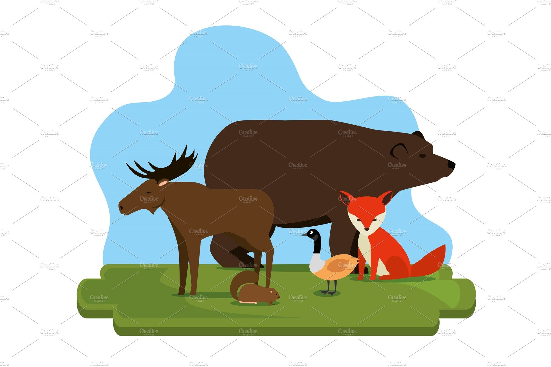 canadian culture group of animals cover image.