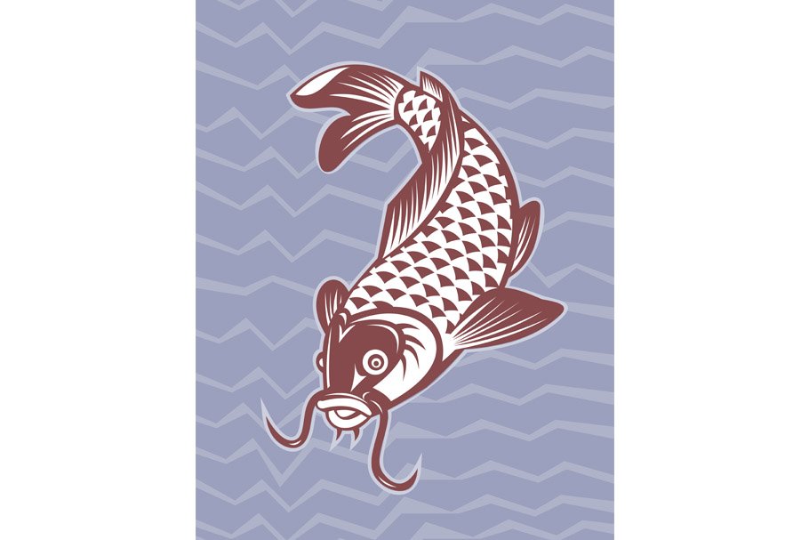 Koi carp swimming down cover image.