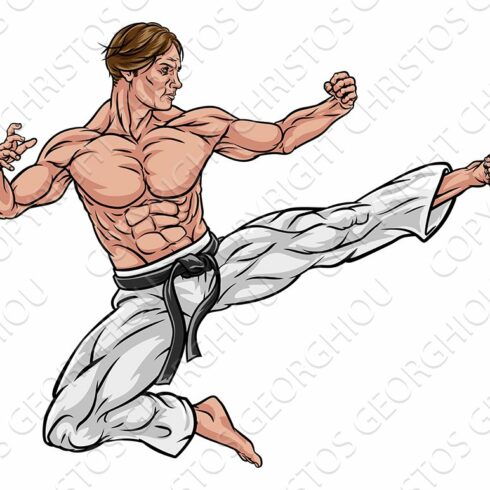 Karate or Kung Fu Flying Kick cover image.