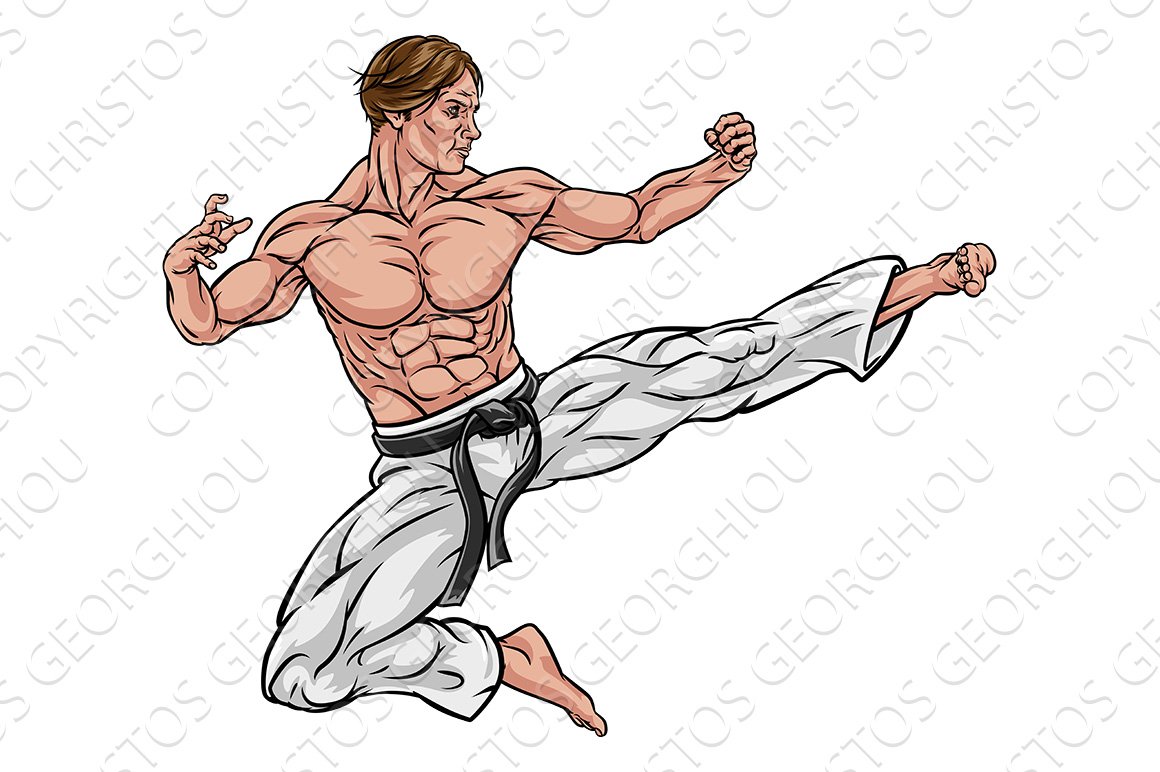 Karate or Kung Fu Flying Kick cover image.
