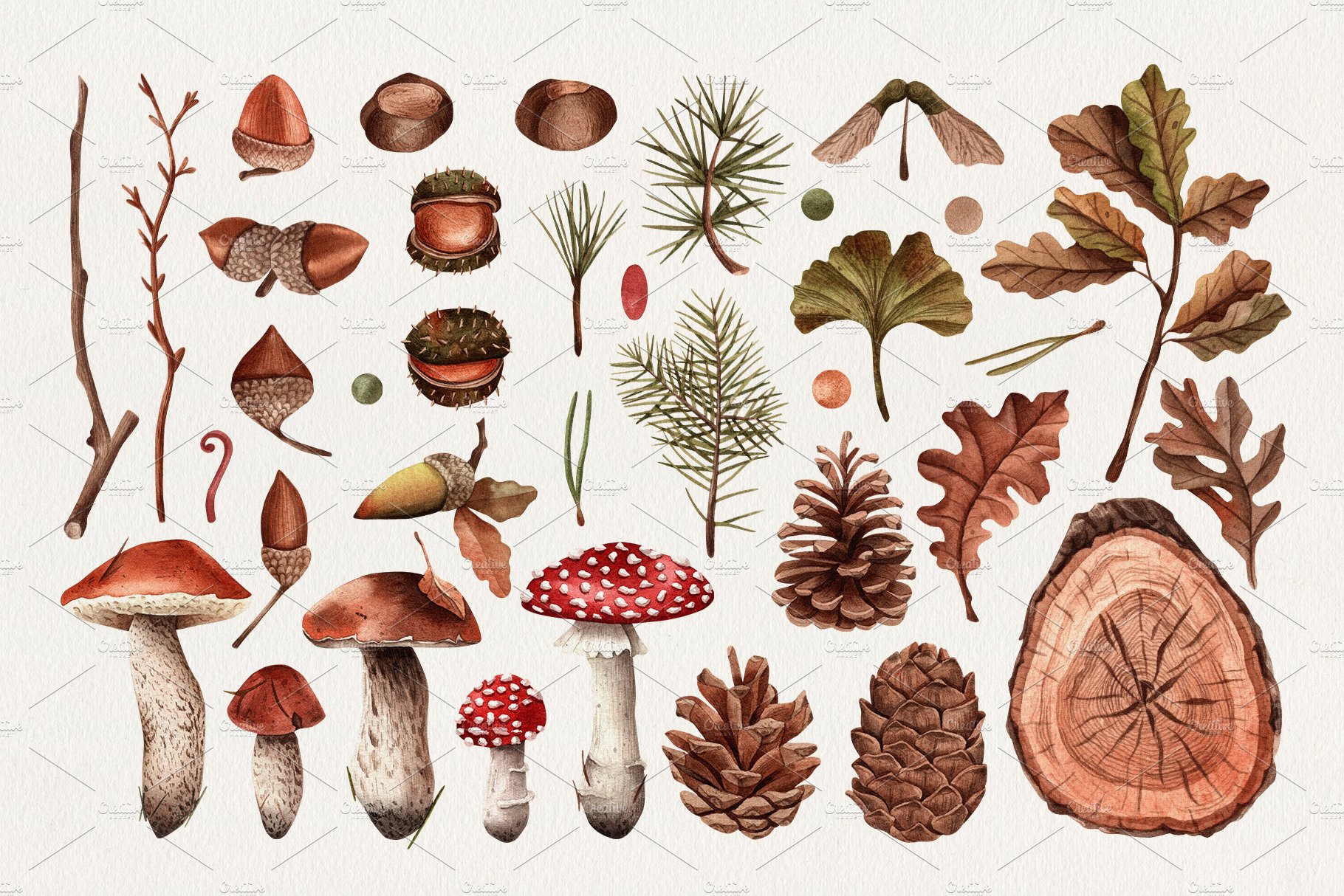 Watercolor botanical forest set preview image.