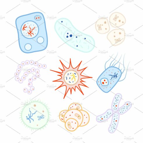 Colorful biology cells and bacterias cover image.