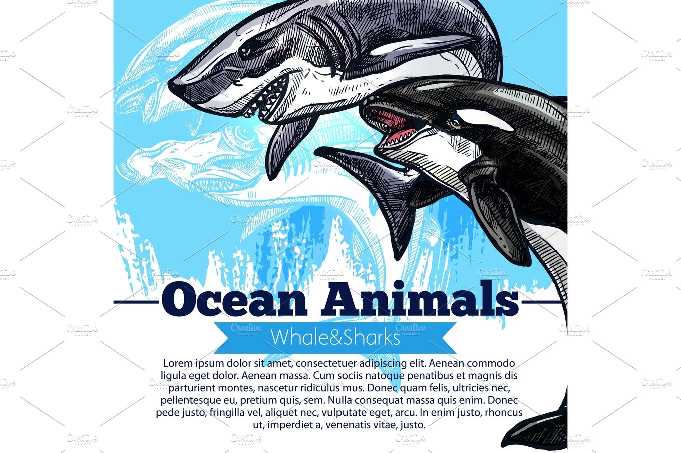 Killer whale or orca and shark fish vector poster cover image.