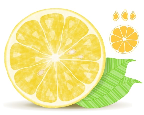 lemon slice 162