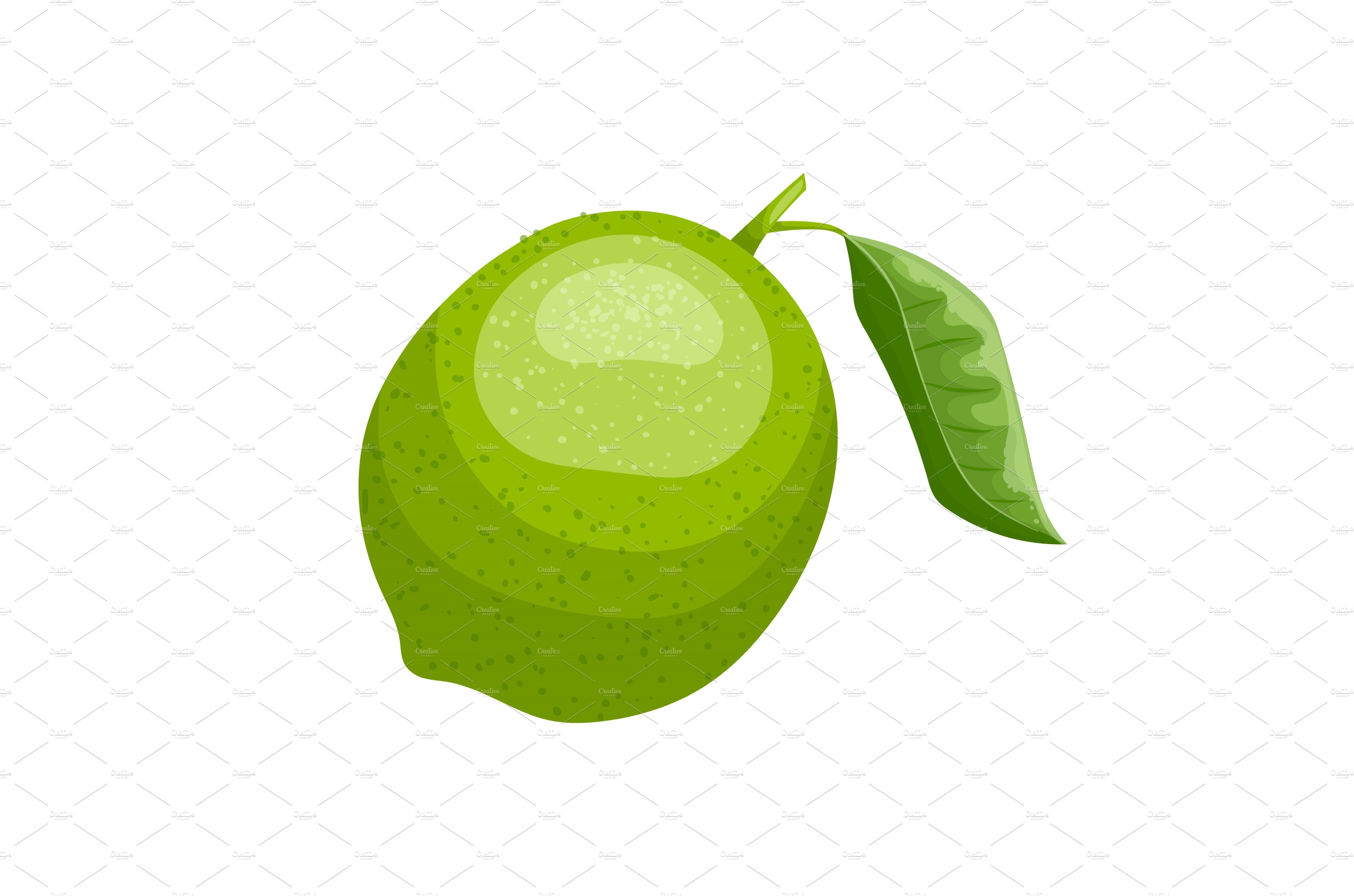 lime fruit cartoon vector cover image.