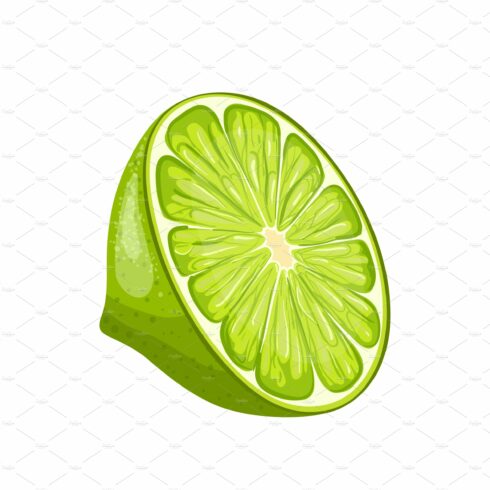 lime fresh cartoon vector cover image.