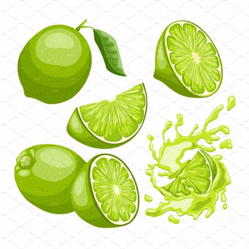 lime green fruit set cartoon vector cover image.