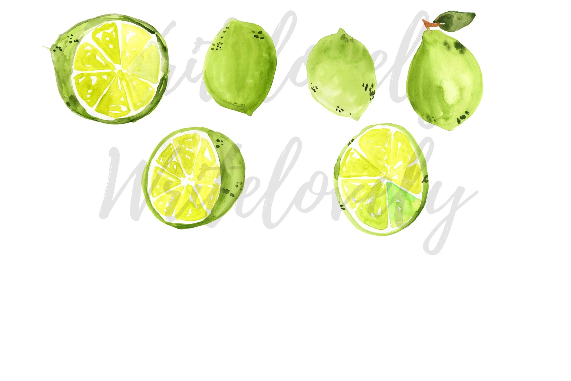 Watercolor citrus lime clipart preview image.