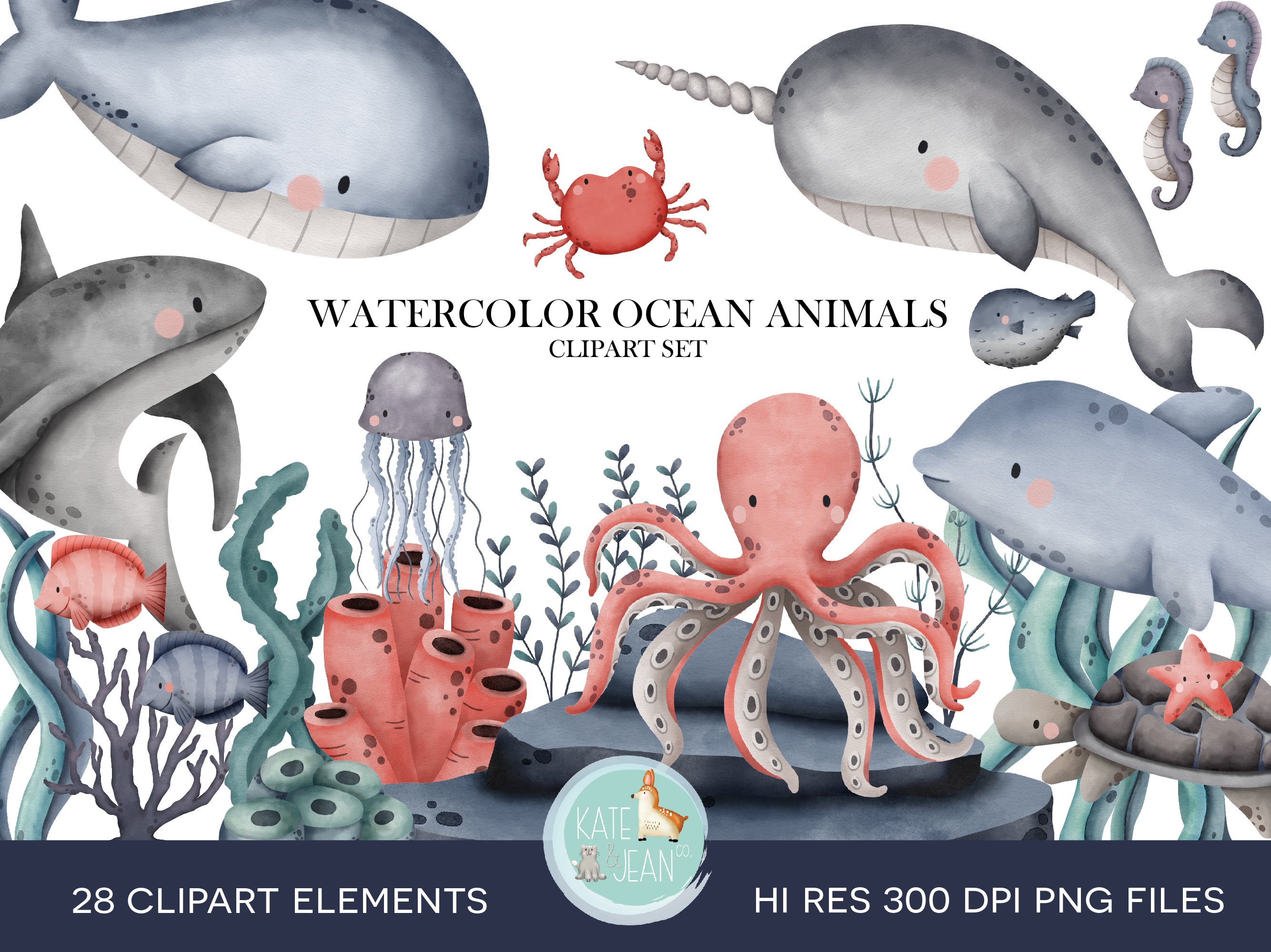Ocean Animals preview image.
