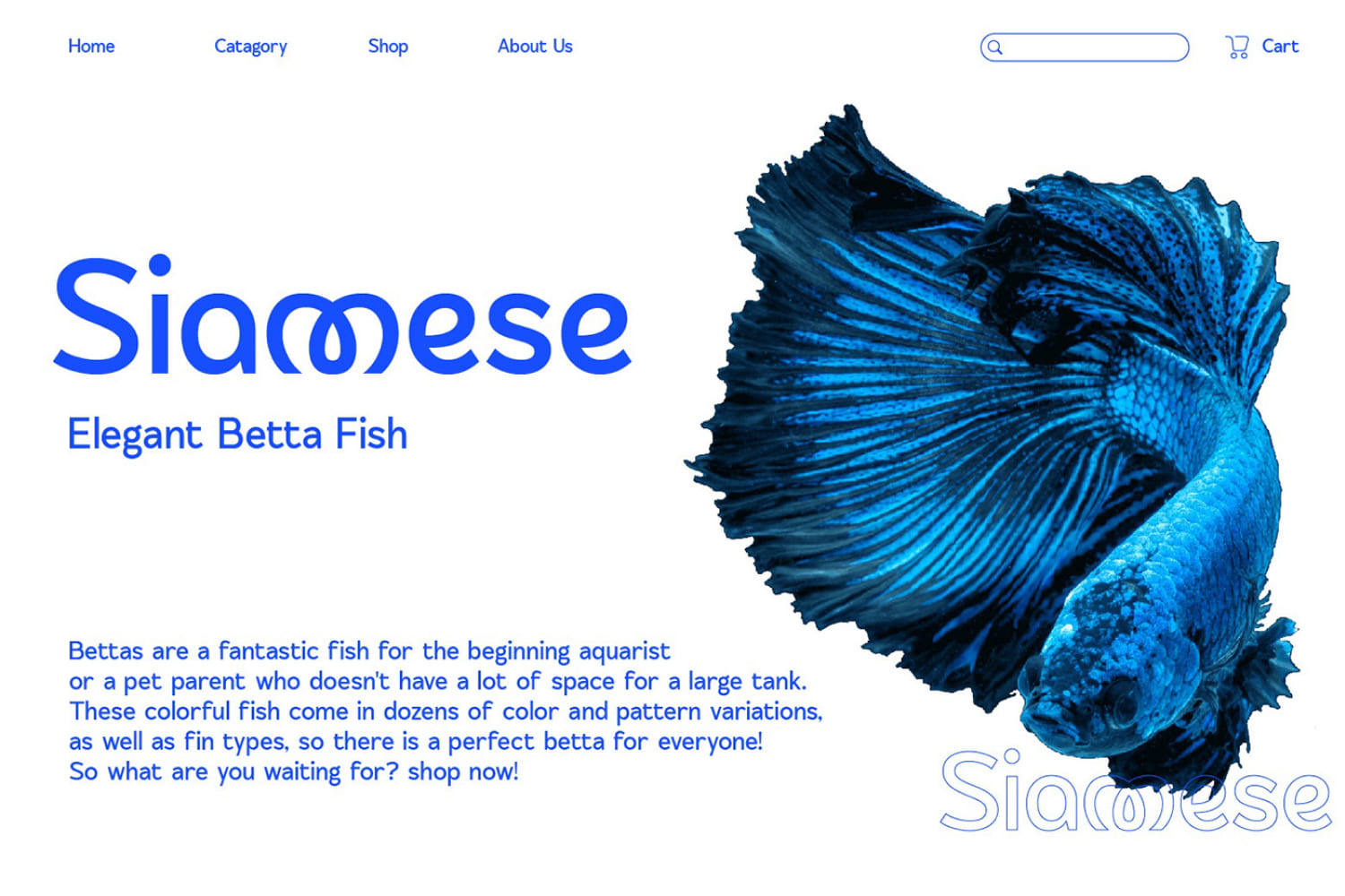 Website screenshot with blue text and blue fish on white background.