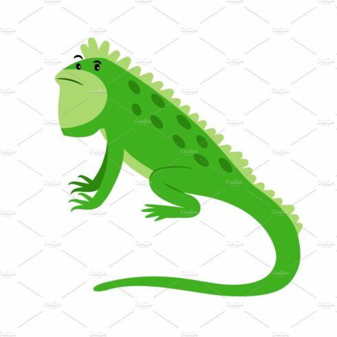 Iguana exotic reptile cartoon icon cover image.