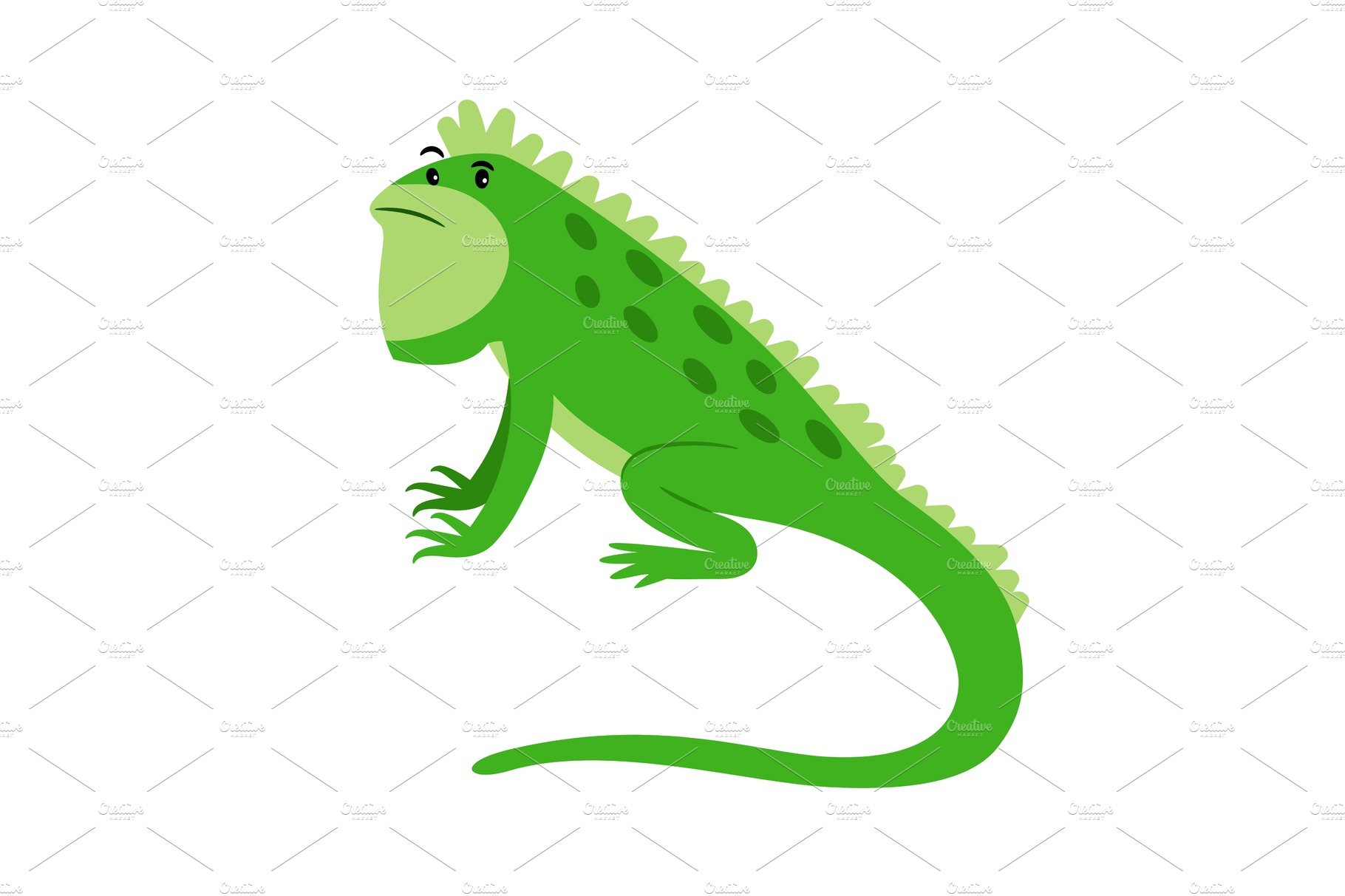 Iguana exotic reptile cartoon icon cover image.
