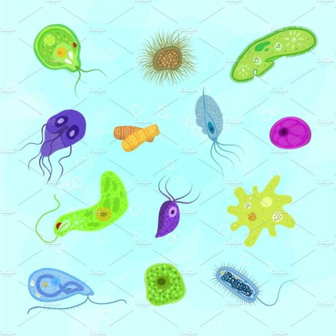 Virus vector bacterial infection cover image.
