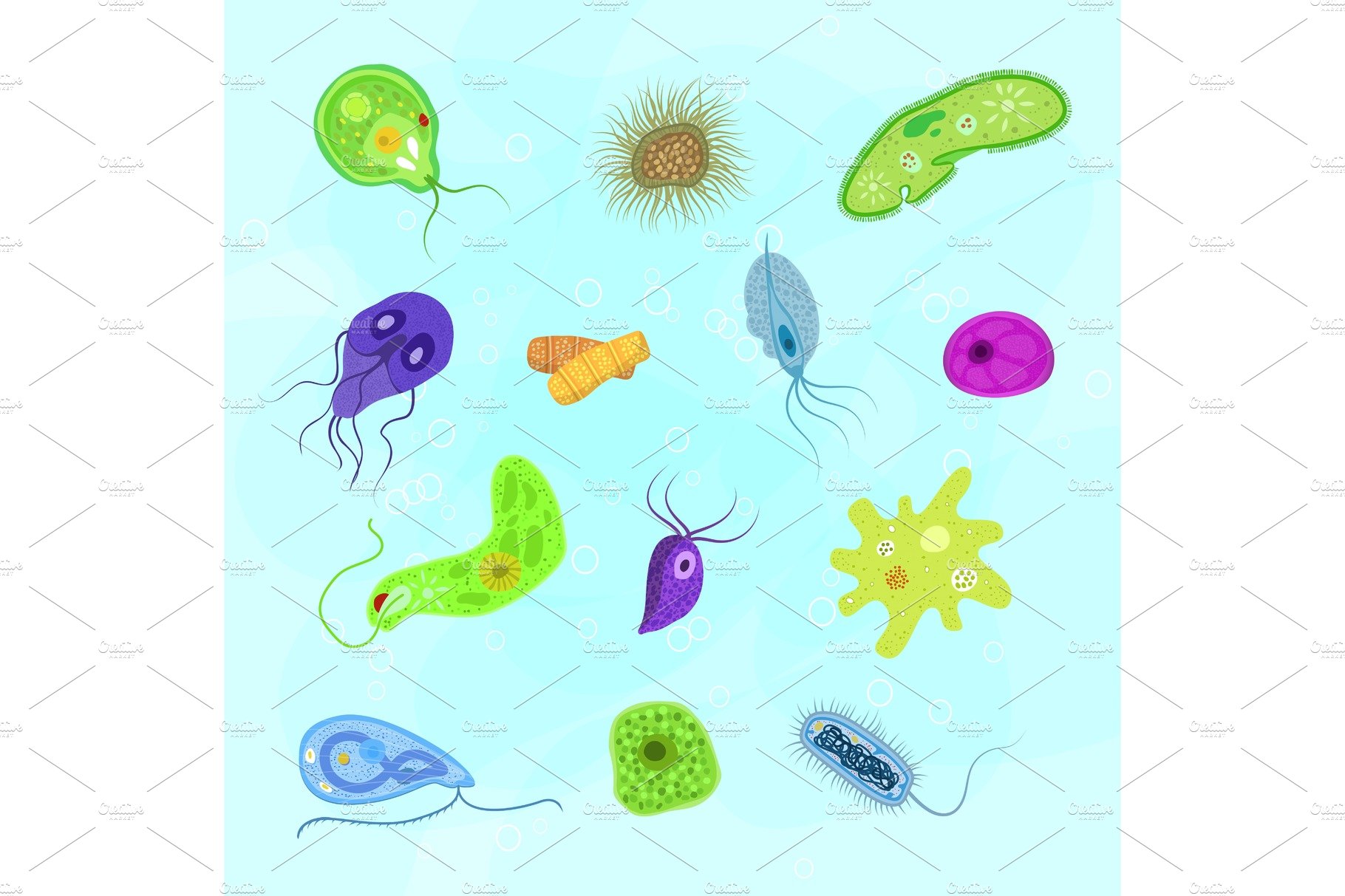 Virus vector bacterial infection cover image.