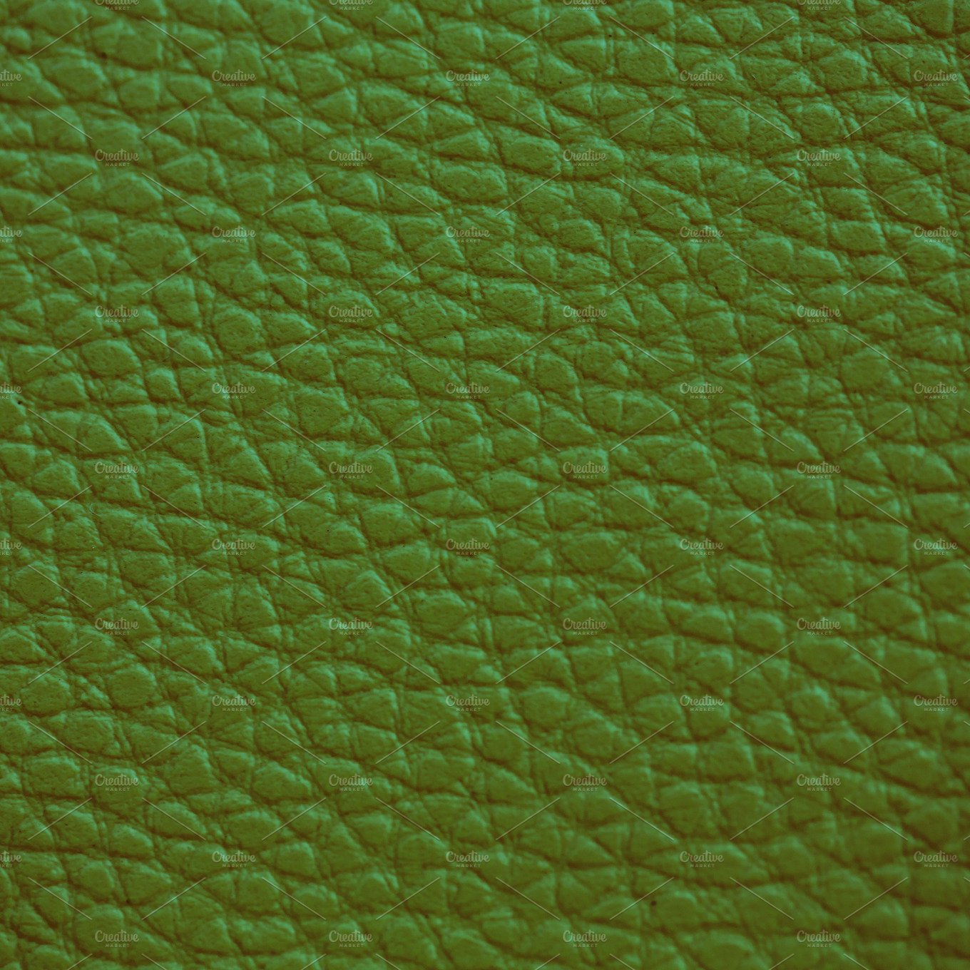 Dark green Leather cover image.
