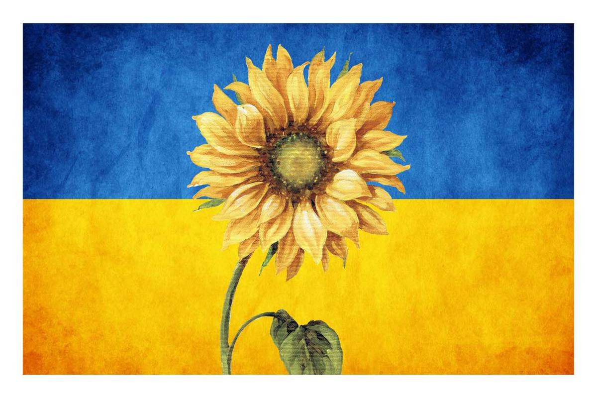 Sunflower On Ukraine Flag Png cover image.