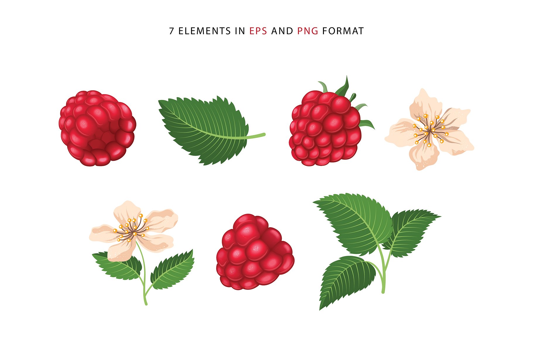 Delicious raspberries vector set preview image.