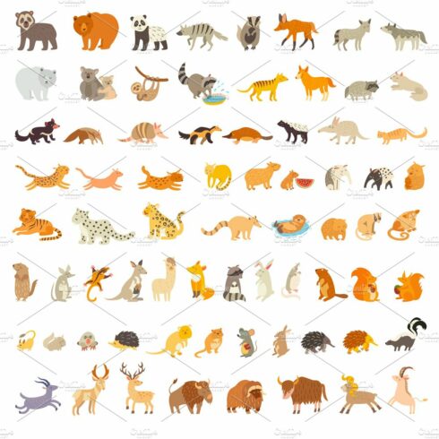 Mammals of the world cover image.