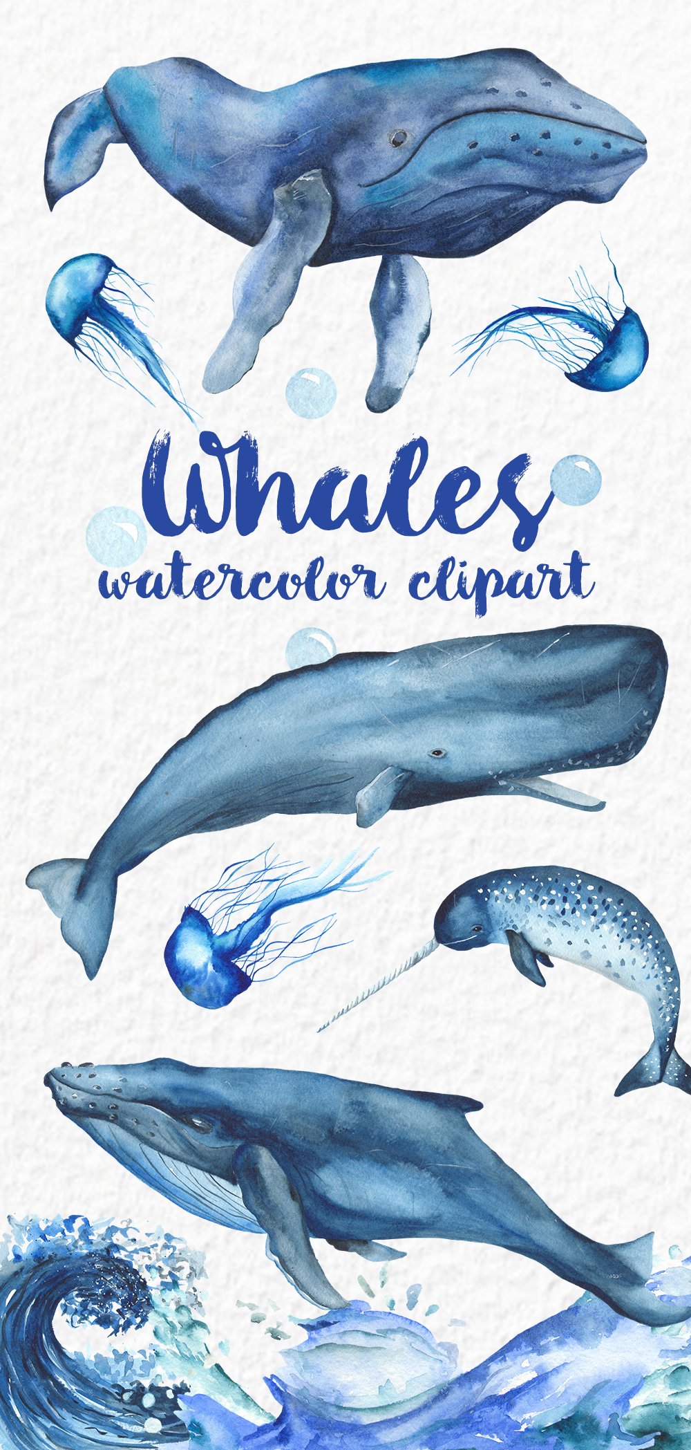 Blue Ocean Mammals. Watercolor. preview image.