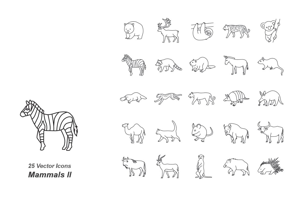 Mammals II outlines vector icons cover image.