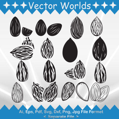 Almond SVG Vector Design cover image.