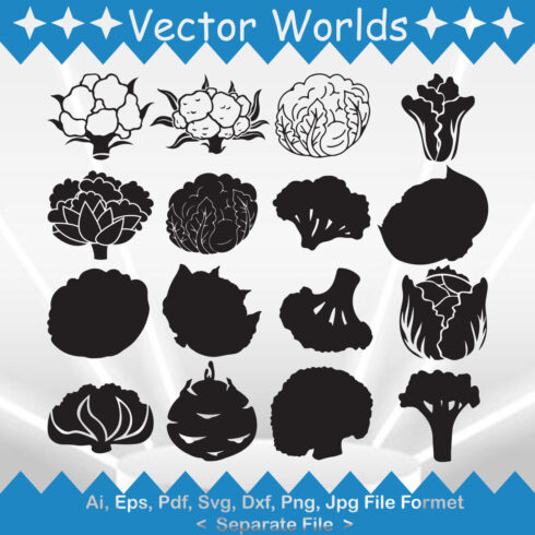 Cauliflower SVG Vector Design cover image.