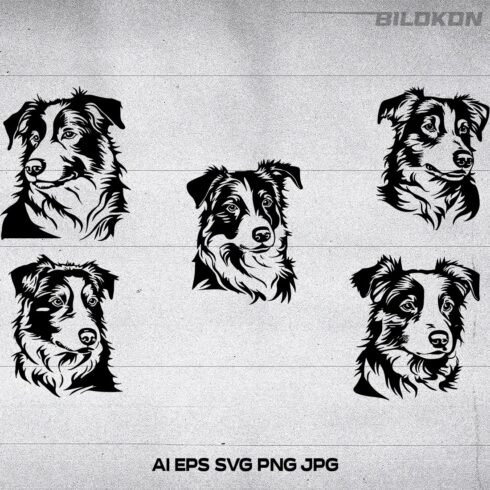Border collie dog head, Vector, Illustration, SVG BUNDLE cover image.